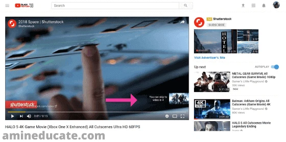 Best Video Hosting Services For Business