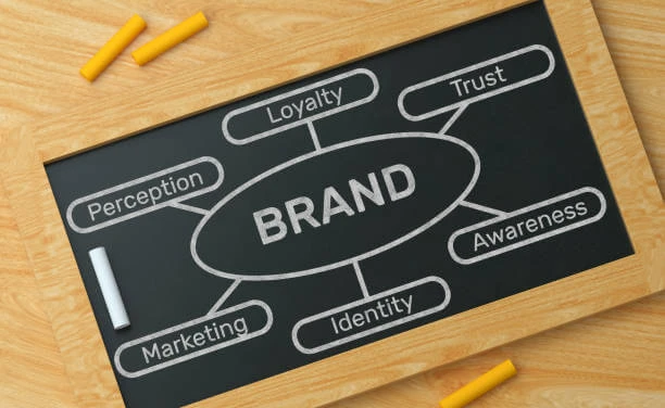 Link Building Benefits for Website Rank