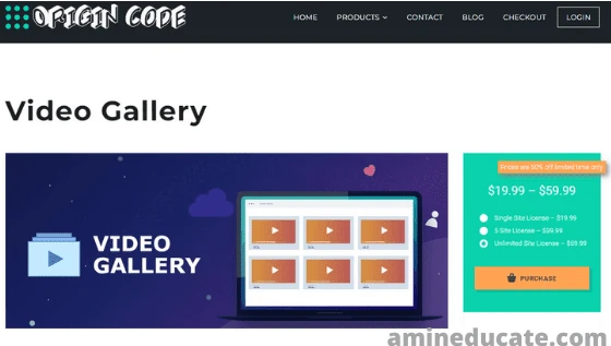 Best Wordpress Video Plugins