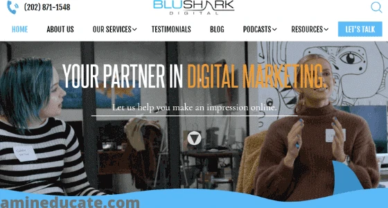 Best Law Firm SEO Companies