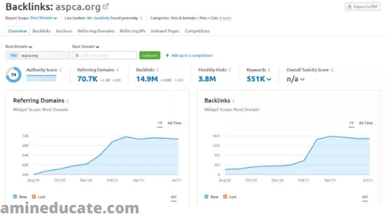 How To Identify Bad Backlinks and Remove Them?