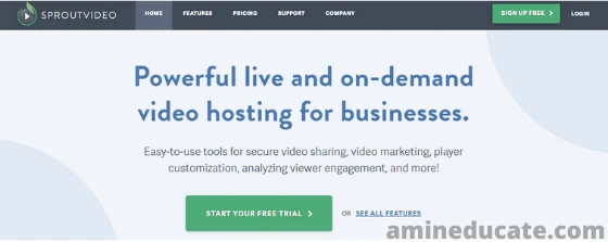 Best Video Hosting Services For Business