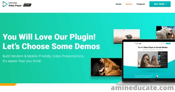 Best Wordpress Video Plugins